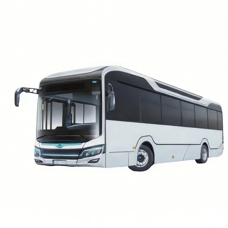 Busz
